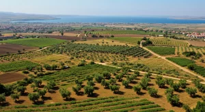 Canakkale-arsa-danismanligi-3